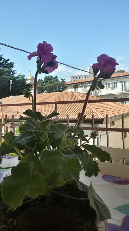 Casa Vacanza Xenia Agerola Exterior photo